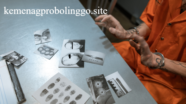 Jurusan Kriminologi: Peluang Kerja dan Tips Sukses